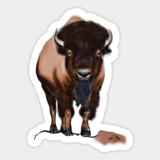 Cute Bison Drawing Sticker